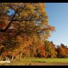 20071102_077